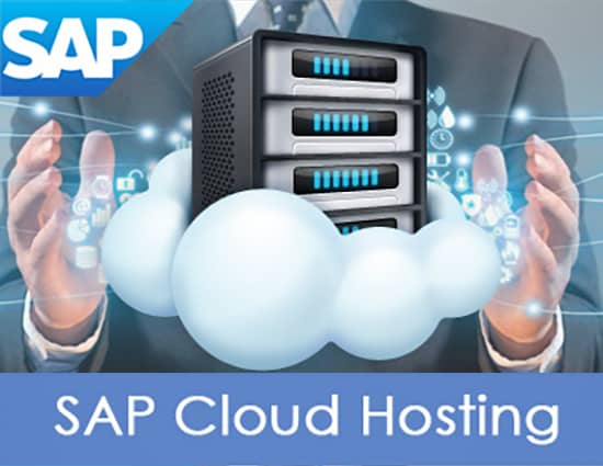 SAP Cloud Hosting - Secure and Reliable Solutions